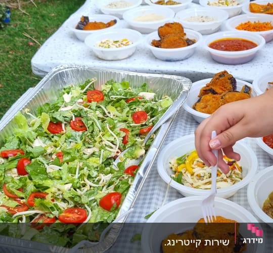 מגשי סלטים, חומוס, שתייה קלה על שולחן קייטרינג